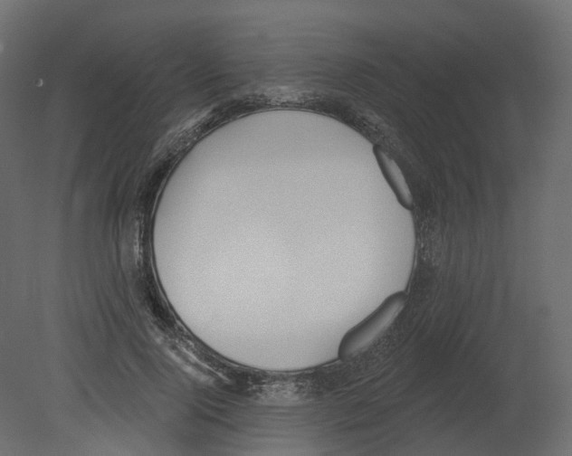 X0000080670740200701121632