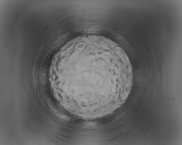 X0000080670741200701121632