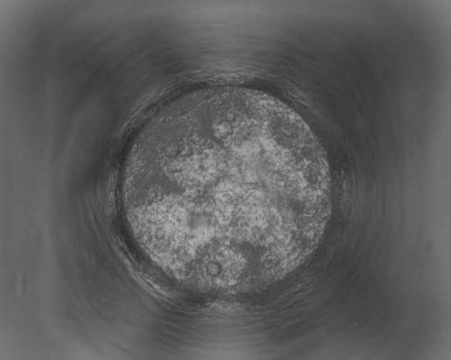 X0000080670742200701121632