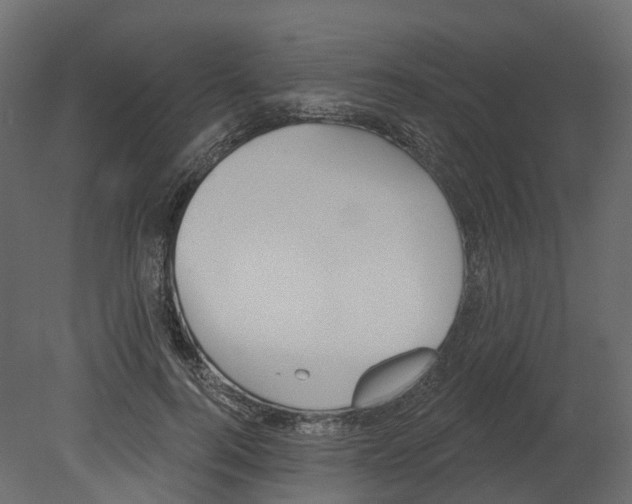 X0000080670744200701121632