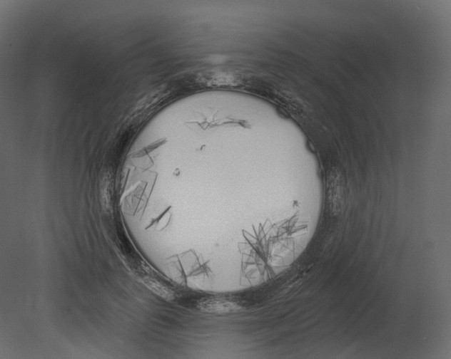 X0000080670747200701121632