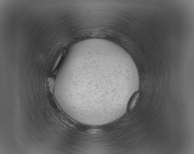 X0000080670748200701121632