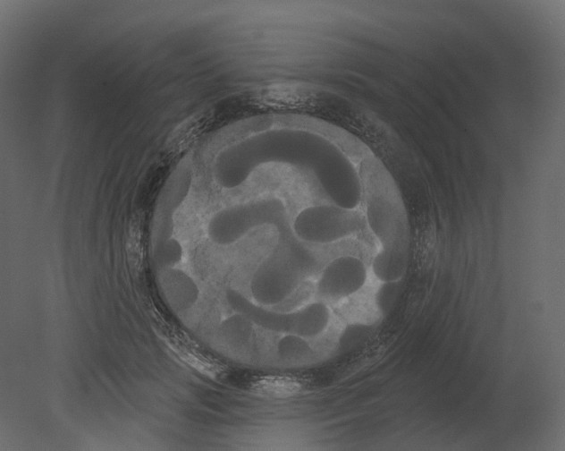 X0000080670749200701121632