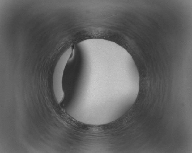 X0000080670750200701121632