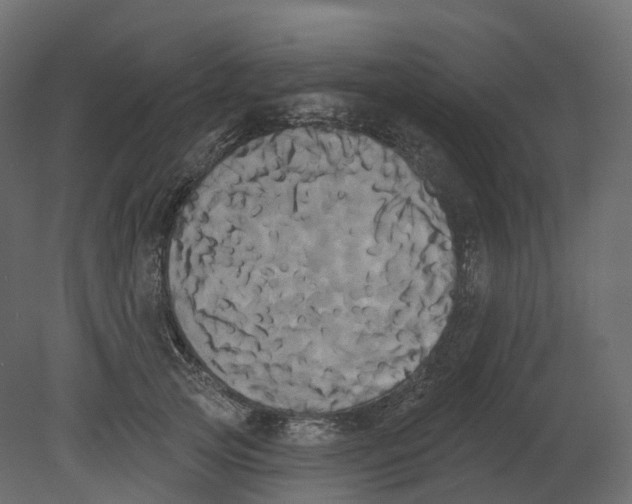 X0000080670753200701121632