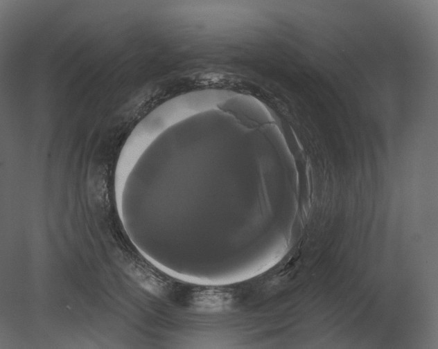 X0000080670754200701121632