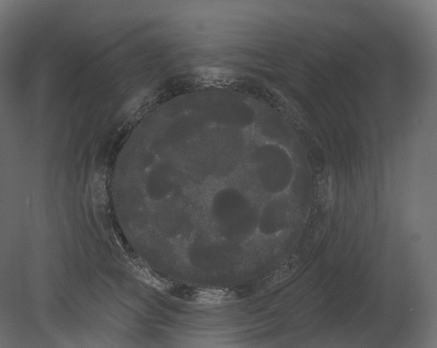 X0000080670757200701121632