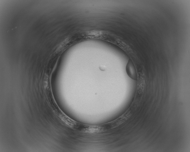 X0000080670758200701121632