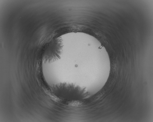 X0000080670759200701121632