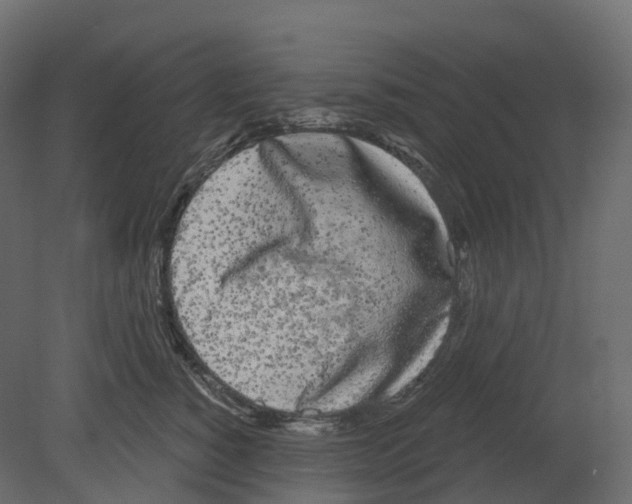 X0000080670760200701121632