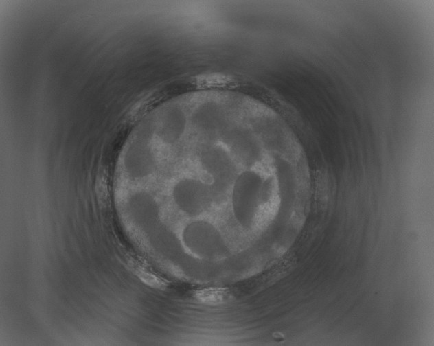 X0000080670761200701121632