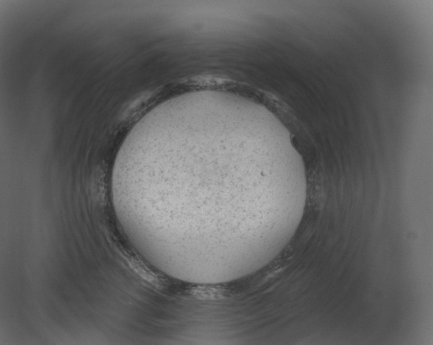 X0000080670762200701121632