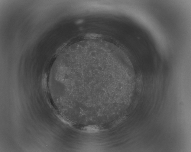 X0000080670765200701121632