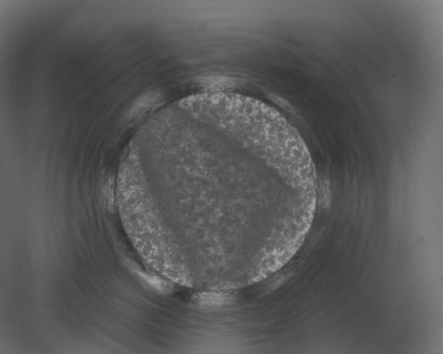 X0000080670766200701121632