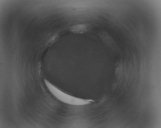 X0000080670767200701121632