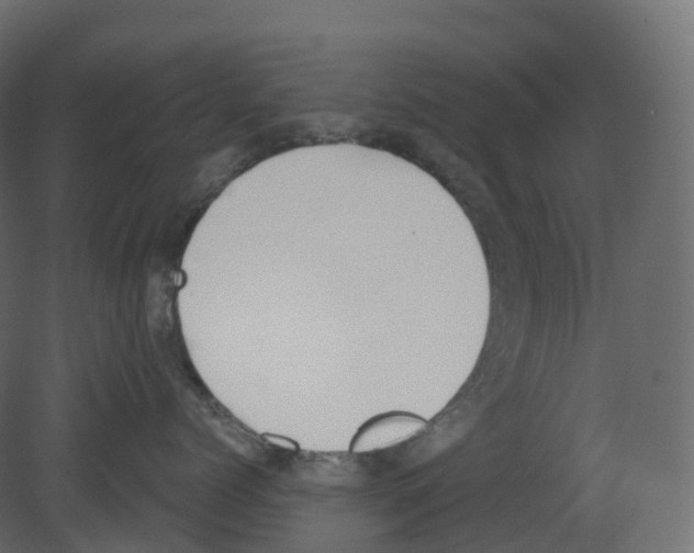 X0000080670768200701121632