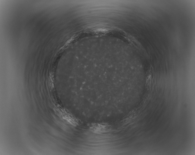 X0000080670772200701121631