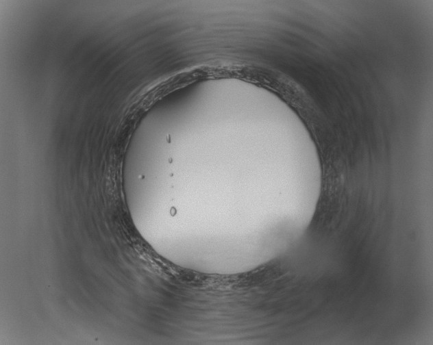 X0000080670773200701121631