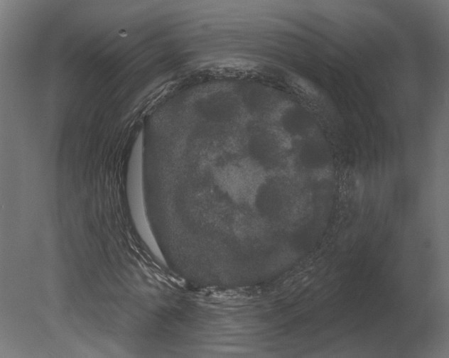 X0000080670774200701121631