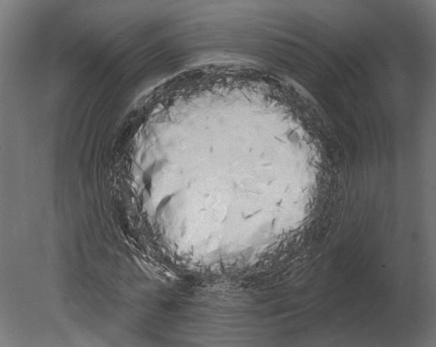 X0000080670775200701121631