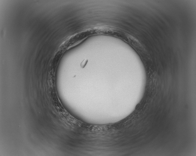 X0000080670776200701121631