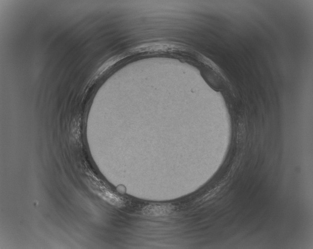 X0000080670778200701121631