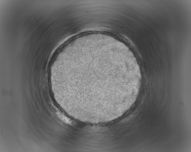 X0000080670779200701121631