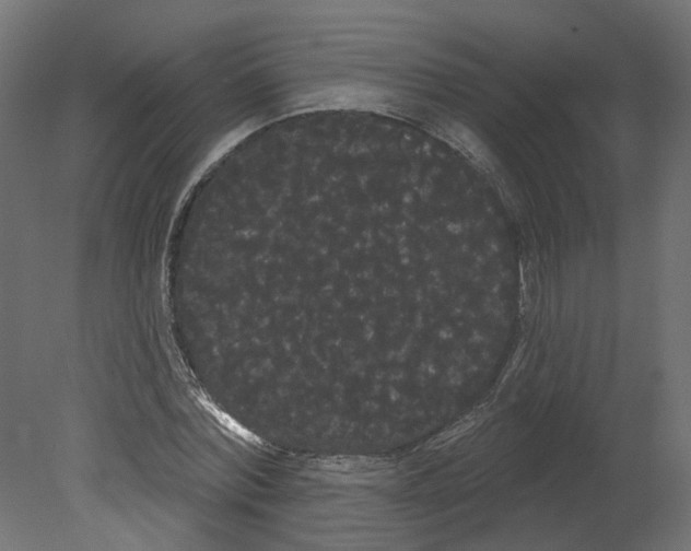 X0000080670780200701121631