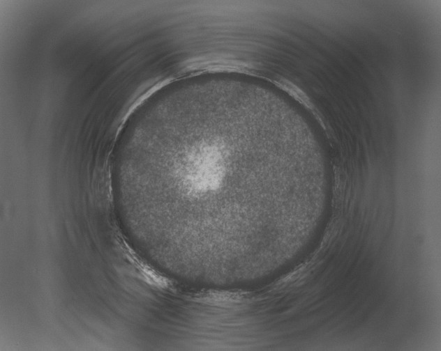 X0000080670782200701121631