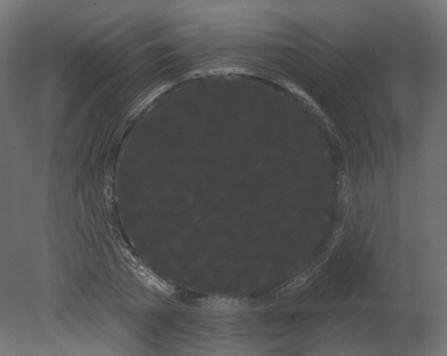 X0000080670785200701121631