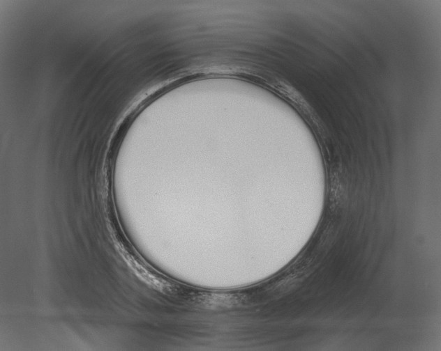 X0000080670787200701121631