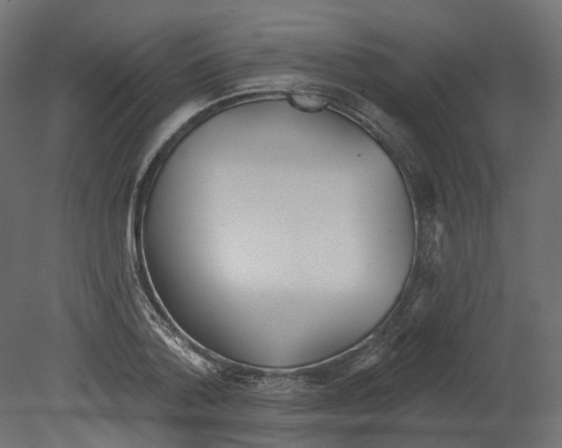 X0000080670788200701121631