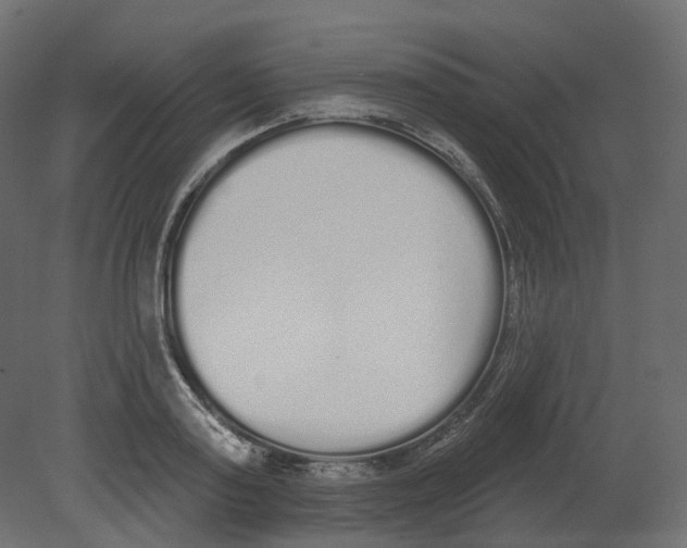 X0000080670795200701121631