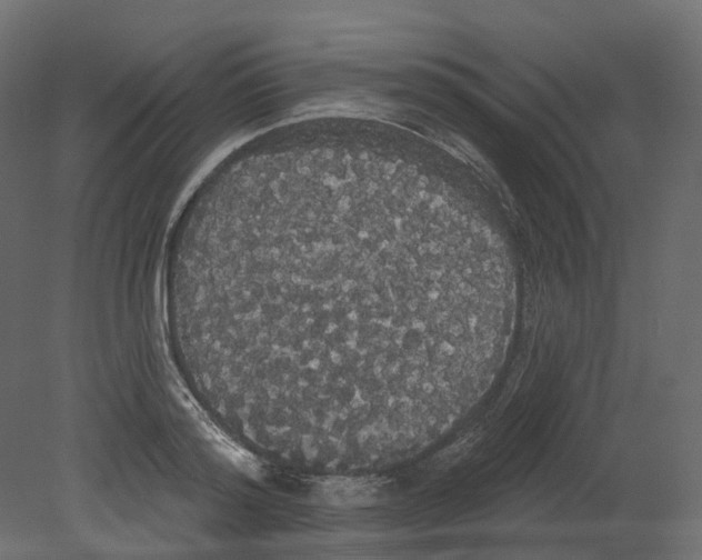 X0000080670796200701121631