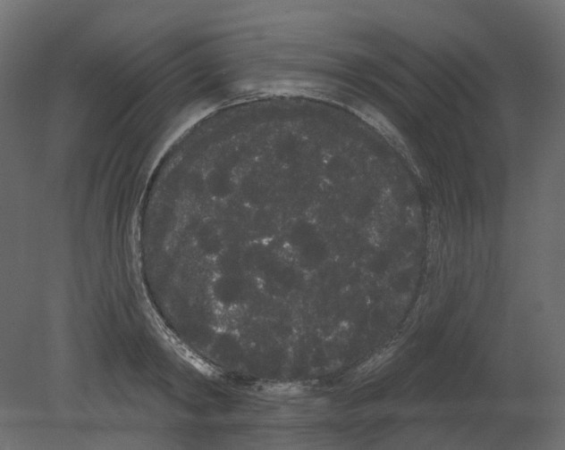 X0000080670798200701121631