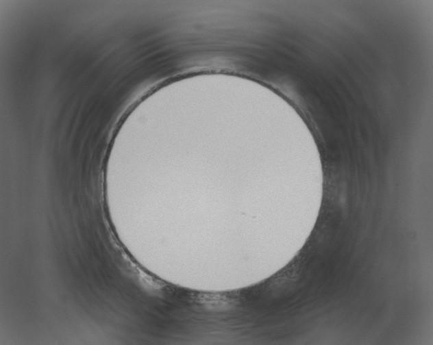 X0000080670807200701121631