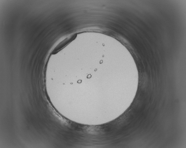 X0000080670808200701121631