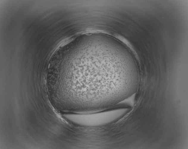 X0000080670809200701121631