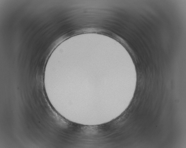 X0000080670810200701121631