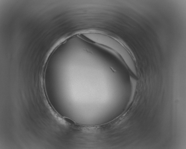 X0000080670813200701121631