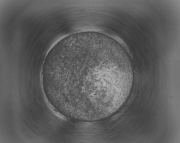 X0000080670814200701121631