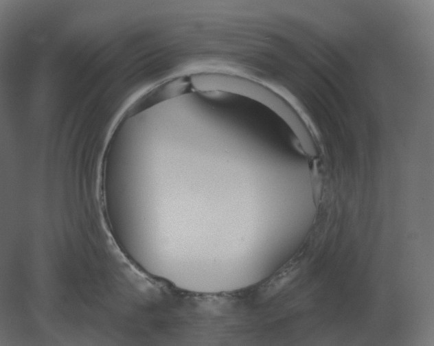 X0000080670815200701121631