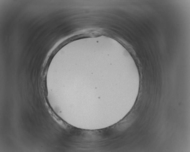 X0000080670816200701121631