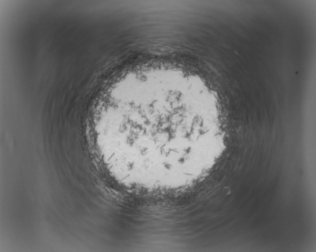 X0000080670817200701121630