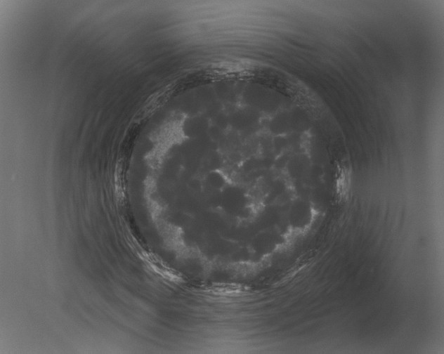 X0000080670819200701121630