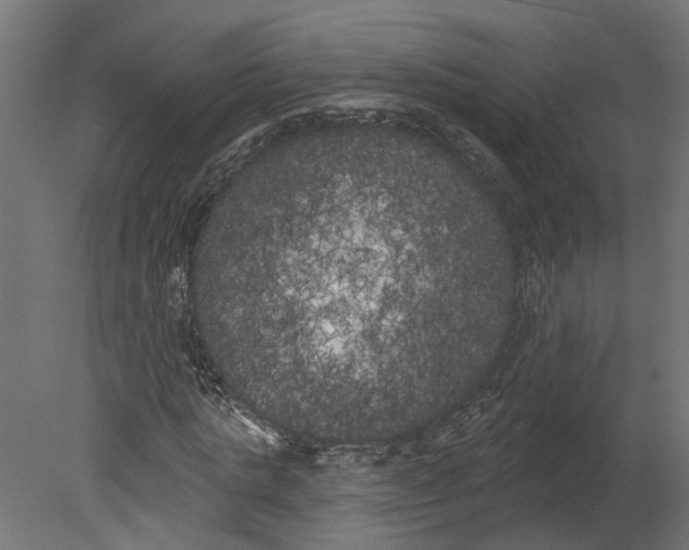 X0000080670821200701121630