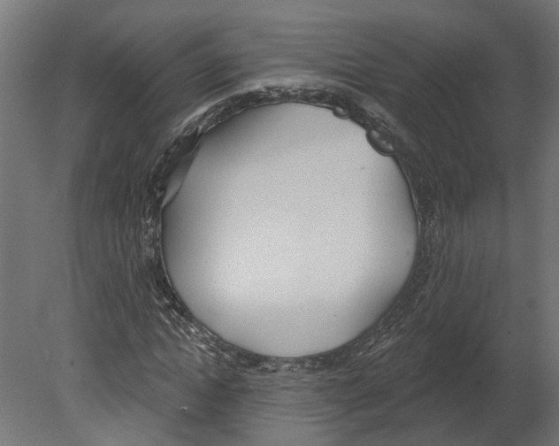 X0000080670822200701121630