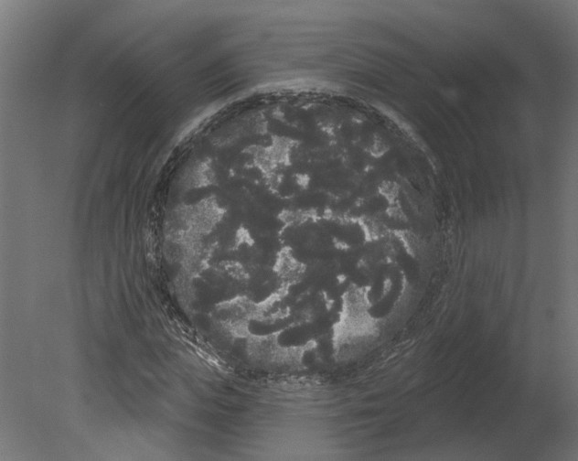 X0000080670823200701121630