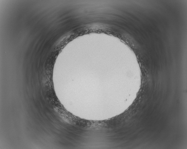 X0000080670824200701121630