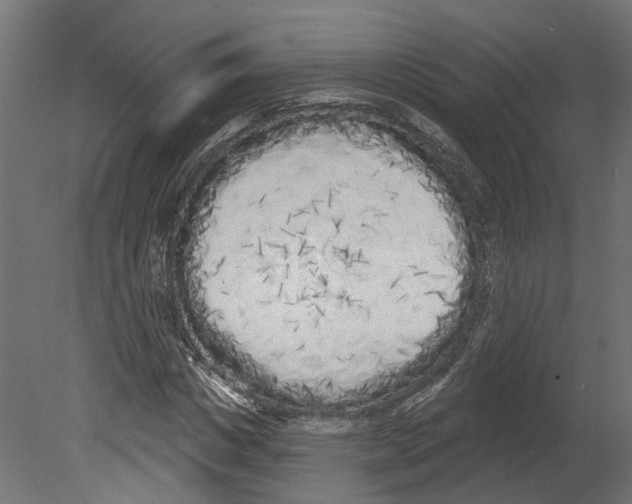 X0000080670825200701121630